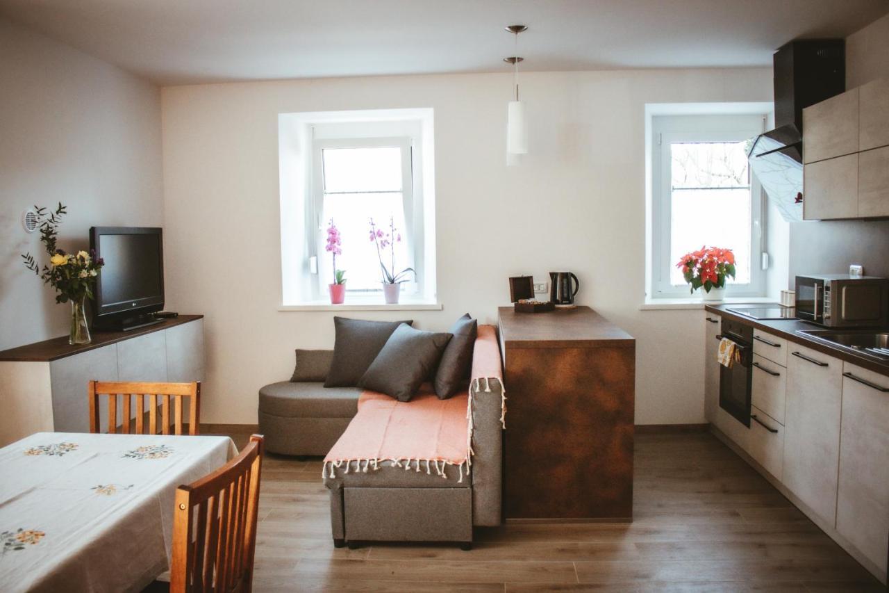 Apartma Moser Podnanos Buitenkant foto