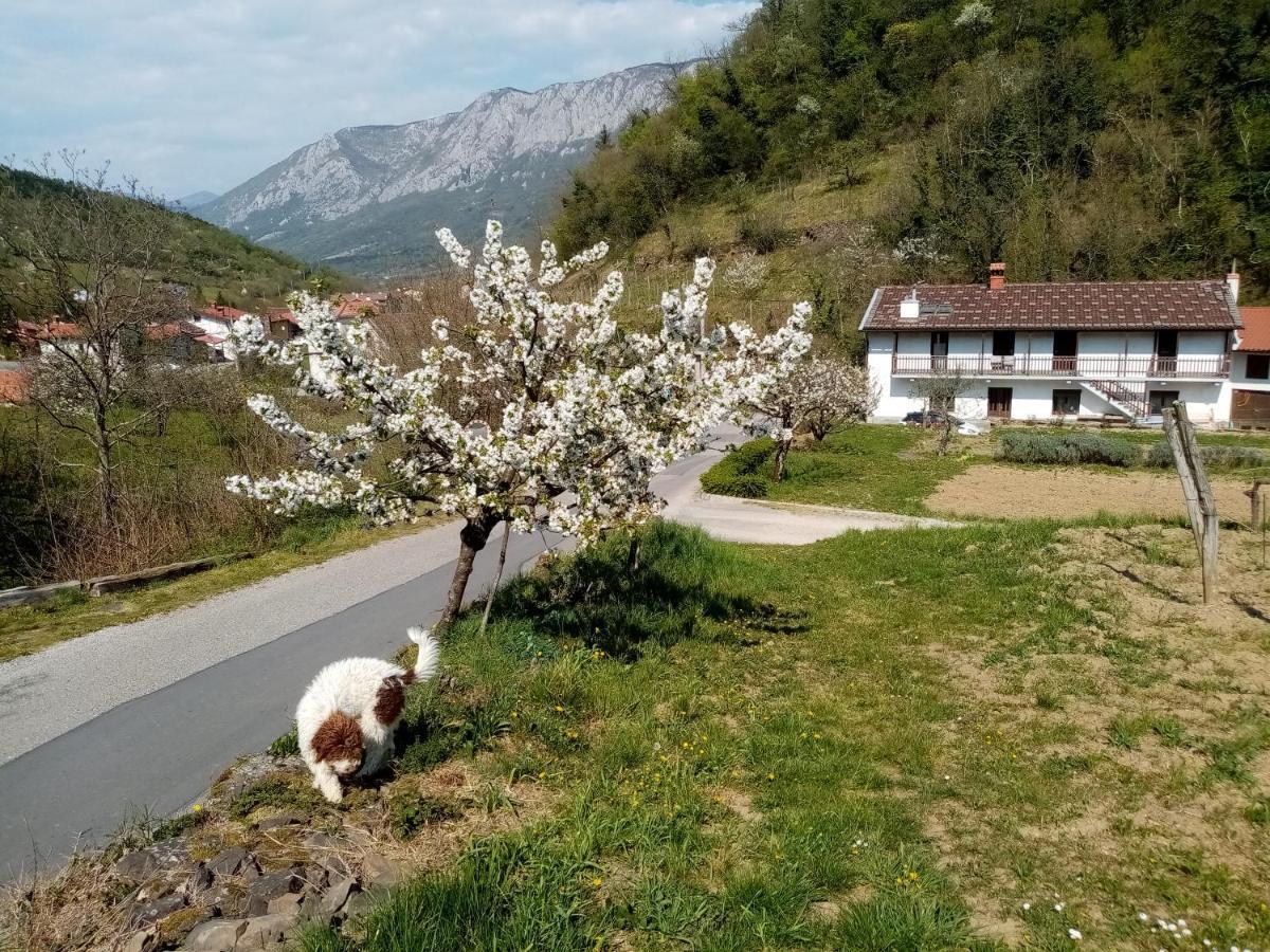 Apartma Moser Podnanos Buitenkant foto