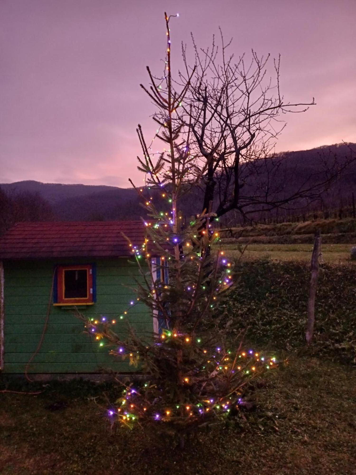 Apartma Moser Podnanos Buitenkant foto